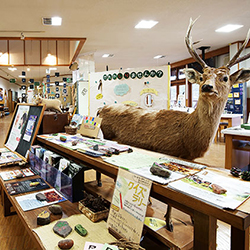 山梨県立八ヶ岳自然ふれあいセンター