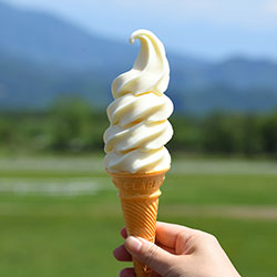 清泉寮ソフトクリーム